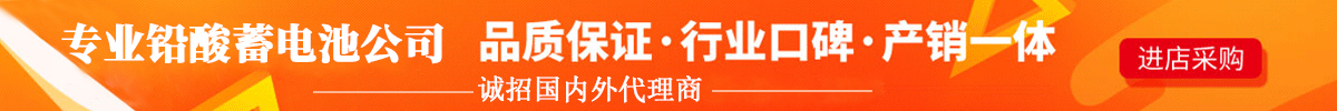 电动叉车蓄电池生产厂家